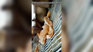 Indian Aunty In Saree Engulfing Penis Of Sons Close Ally