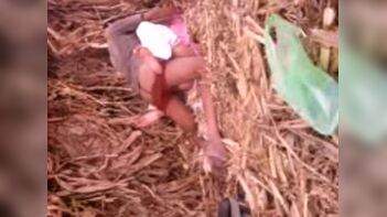 Village gal outdoor fucked by lover in sugarcane field