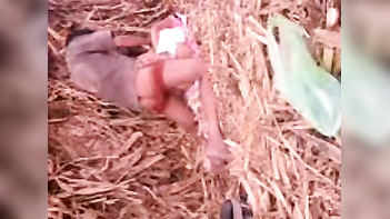 Village gal outdoor fucked by lover in sugarcane field