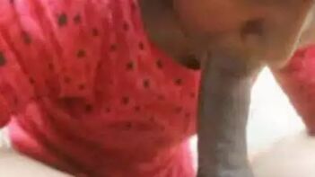 Sizzling Desi Sex: Indian Wife Giving Her Husband a Sensual Blowjob