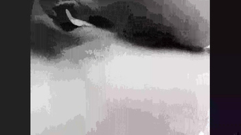 Tulsi's Desi Pussy: Mallu Star's Sex Appeal Captivates Fans