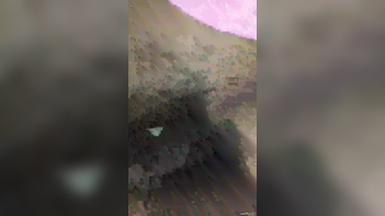 Hear Her Roar! Desi Sex Satisfaction with a Desi Girl Moan