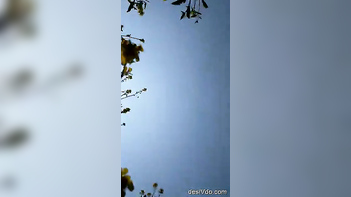 Experience the Wild Side of Desi Sex: Mature Village Aunty Fucking Outdoors