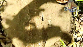 Desi Girls Go Wild in Public: Watch the First-Ever Outdoor Pissing Video Compilation!