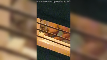 Uncovered: Aunty Caught Having Desi Sex in Bathroom!