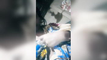 Desi Village Boudi Showing Her Boobs And Pussy - Indian Porn Tube Video