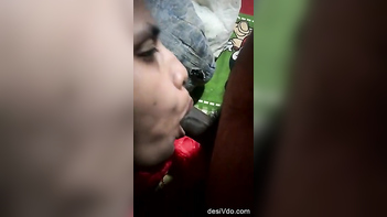 Desi Bhabhi Blowjob And Fucked - Indian Porn Tube Video