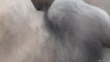 Desi Couple's Horny Fling: 5 Steamy Clips Part 5