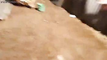 Experience the Unbelievable Voyeurism of Indian Desi Women Pissing Outdoors!