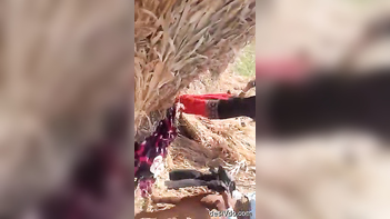 Outdoor Fling: Desi Bhabhi and Dewar Get Wild!