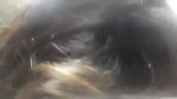 Tantalizing Tamil Sweet Sucking: Savor the Sultry Seduction!