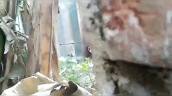 Man Pleasures Desi Wife Outdoors with Reverse Cowgirl in XXX Cavity