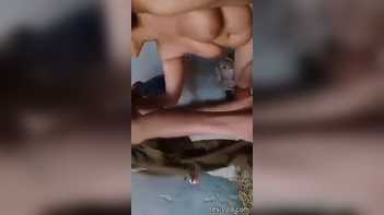 Desi Pathan Wife Delights With Sensual Rimjob - A Must-Try Desi Sex Experience!