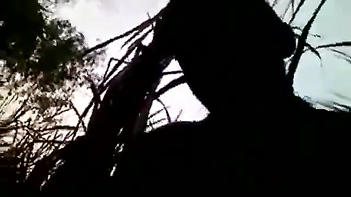 Uncovering the Wild Desires of Indian Village Girls: Desi Nymphos Fucking