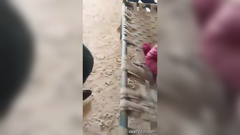 Desi Sex Scandal: Village People Catch Dewar Bhabhi In The Act!