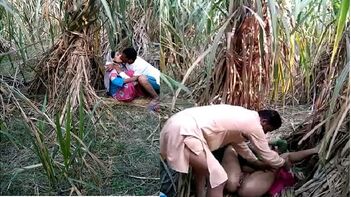 Shocking Desi MMS: Scandalous Outdoor Fucking in Indian Village Bhabhi