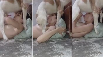 Outrageous Video: Indian Woman Facefucked by Small Dog Caught on Camera