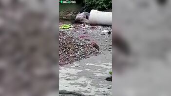 Man Caught Filming Couple Having Sex in India - Shocking Video Emerges