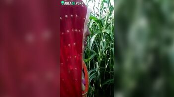 Indian Aunty Caught Masturbating in Cornfield - Shocking Incident in Rural India