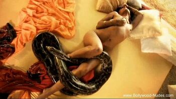 XXX Indian Porn: Bollywood Stars Take On Unusual Challenge - Sex With a Snake