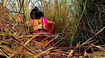 Indian Porn Sites Buzzing with Viral Videos of Desi Sister-in-Law's Jungle Adventures