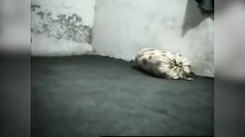 Aparna Chachi's Burqa Sex Scandal: Shocking Details Emerge