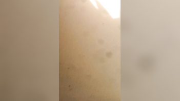 Outdoor Love Affair of Dehati Wife Caught on Camera