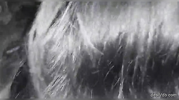 Leaked Video of Horny Girl Sucking Boyfriend's Cock Goes Viral