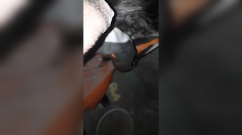 Dehati Girl Enjoys Sucking Big Fat Dick for Pleasure