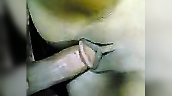 Watch Desi Movies Now: Get Ready to Get Fucked!