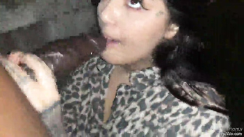 Watch the Latest Episode of "Indian Rich Girl Part 6" - A Fascinating Story of Wealth and Power!