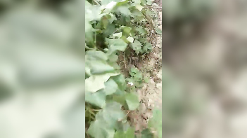 Village Couple Caught in Outdoor Sex Act Shocks Locals