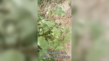 Village Couple Caught in Outdoor Sex Act Shocks Locals