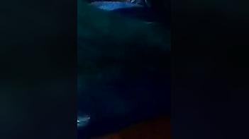 Indian Woman Pulls Xxx Sari Up and Man Touches Her Seductively Exposed Breasts