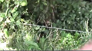 Colombian aged aunty outdoor orall-service session with secret lover