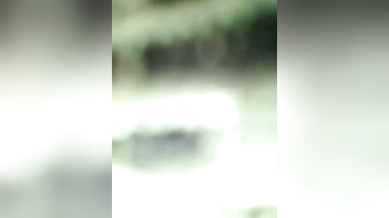 Desi Bhabhi Flaunts Her Sexy Hairy Hole to Her Lover For Wild Fucking!