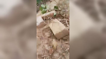 Voyeur Catches Desi Lovers in X-Rated Moment: Indian Porn Tube Video