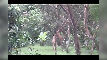 Watch Nri BBW House Wife Have Fun Outdoors With Friend