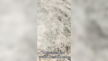 Experience Desi Romance Outdoors s for Lovers