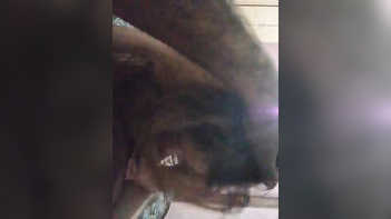 Experience Sensual Pakistani Randi Blowjob With Audio!
