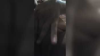 Earn Extra Money With Desi Teen Girl Striptease - Watch Indian Porn Tube Video Now!