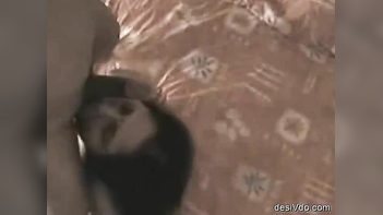 Fucked Up Oriya Aunty Reena Takes Hard Pounding, Pussy Dripping, Moaning Loud.