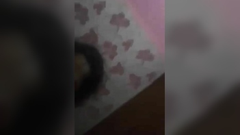 Bangladeshi Bhabhi Getting Pounded By Her Lover In Wild Sex Session