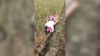 Village Bhabi Gets Pounded By Lover In The Field Like A Wild Animal