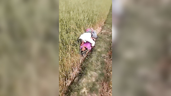 Village Bhabi Gets Pounded By Lover In The Field Like A Wild Animal