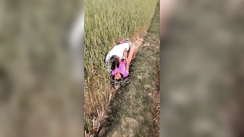 Village Bhabi Gets Pounded By Lover In The Field Like A Wild Animal