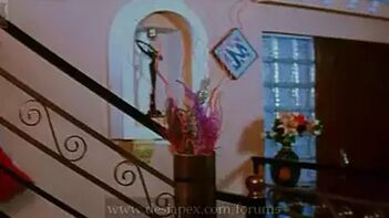 Babes Getting Fucked Senseless, Screaming in Pure Ecstasy, Every Hole Drilled.