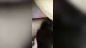 Desi Wife Sucks Dick Like A Pro And Swallows Cum