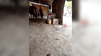 Desi Boss Nails His Hot Maid in a Wild, No-Holds-Barred Fucking Session