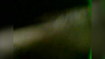 Young Bhabhi Getting Pounded by Devar in Raw Hindi Porn Video